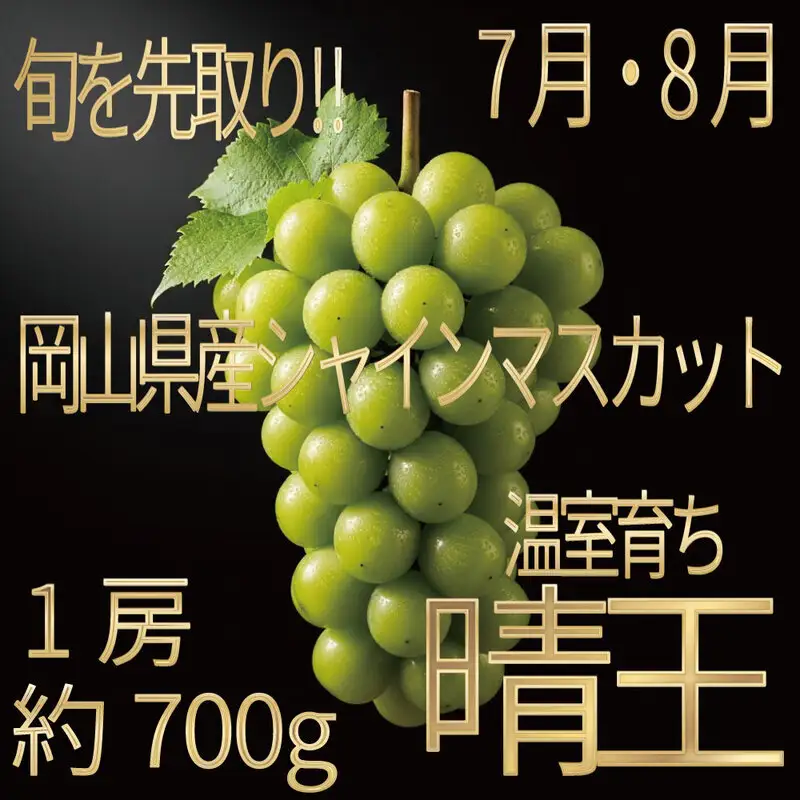 [HS]ぶどう先行予約7月・8月発送温室シャインマスカット晴王1房約700g ブドウ 葡萄  岡山県産 国産 フルーツ 果物 ギフト デザート 食後 酸味が少ない 産地直送