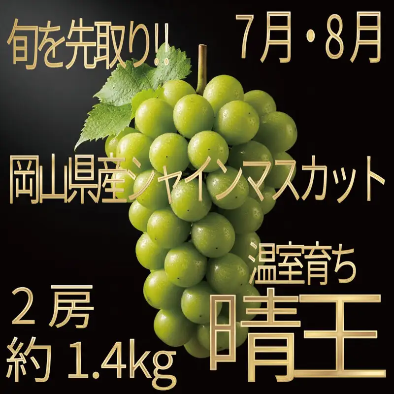 [HS]ぶどう先行予約7月・8月発送温室シャインマスカット晴王2房(合計約1.4kg) ブドウ 葡萄  岡山県産 国産 フルーツ 果物 ギフト デザート 食後 酸味が少ない 産地直送