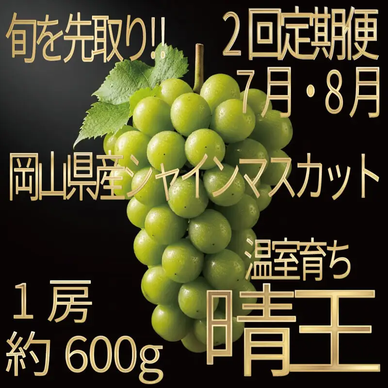 [HS]【定期便全2回】ぶどう先行予約7月・8月発送温室シャインマスカット晴王1房約600g ブドウ 葡萄  岡山県産 国産 フルーツ 果物 ギフト デザート 食後 酸味が少ない 産地直送