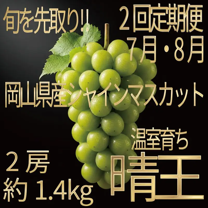[HS]【定期便全2回】ぶどう先行予約7月・8月発送温室シャインマスカット晴王2房（合計約1.4kg）ブドウ 葡萄  岡山県産 国産 フルーツ 果物 ギフト デザート 食後 酸味が少ない 産地直送