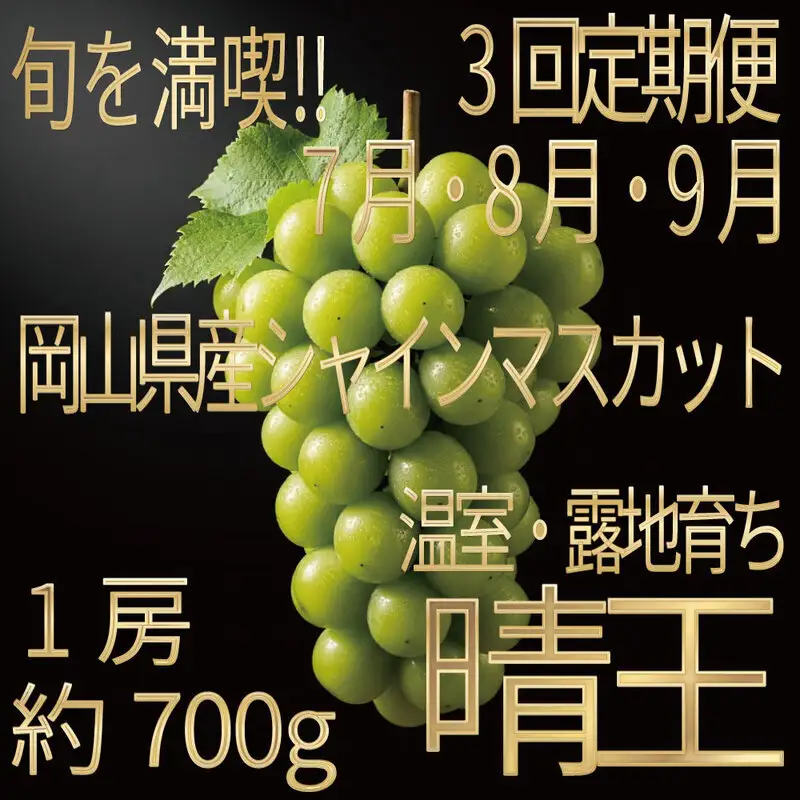 [HS]【定期便全3回】ぶどう先行予約7月・8月・9月発送温室シャインマスカット晴王1房約700g ブドウ 葡萄  岡山県産 国産 フルーツ 果物 ギフト デザート 食後 酸味が少ない 産地直送