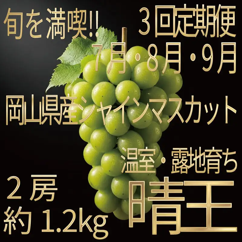 [HS]【定期便全3回】ぶどう先行予約7月・8月・9月発送温室シャインマスカット晴王2房（合計約1.2kg）ブドウ 葡萄  岡山県産 国産 フルーツ 果物 ギフト デザート 食後 酸味が少ない 産地直送