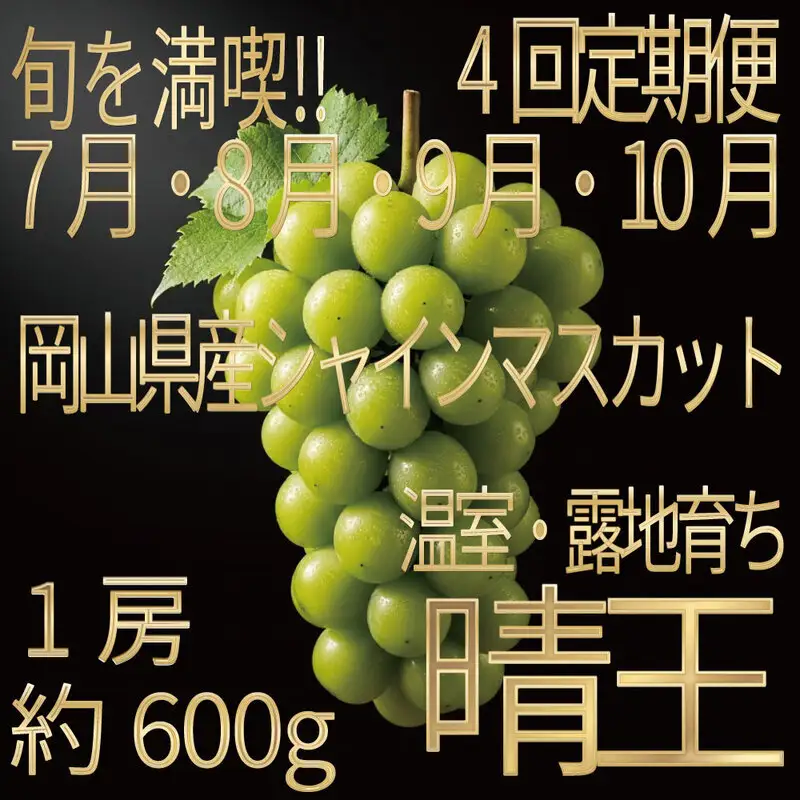 [HS]【定期便全4回】ぶどう先行予約7月・8月・9月・10月発送温室シャインマスカット晴王1房約600g ブドウ 葡萄  岡山県産 国産 フルーツ 果物 ギフト デザート 食後 酸味が少ない 産地直送