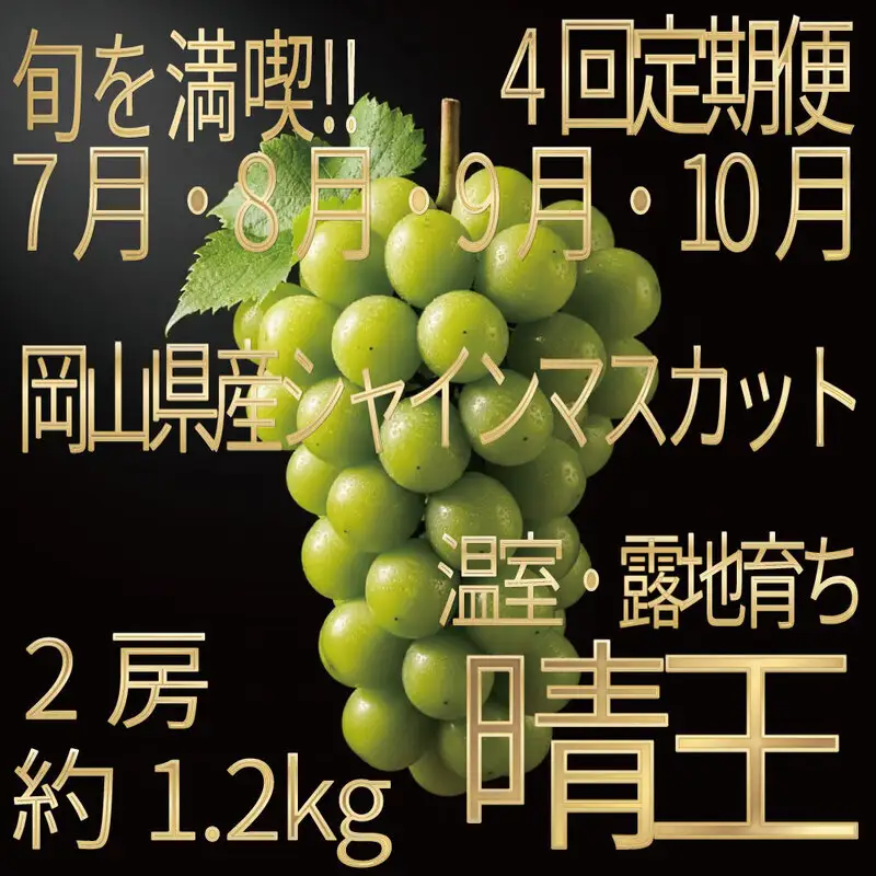 [HS]【定期便全4回】ぶどう先行予約7月・8月・9月・10月発送温室シャインマスカット晴王2房（合計約1.2kg）ブドウ 葡萄  岡山県産 国産 フルーツ 果物 ギフト デザート 食後 酸味が少ない 産地直送