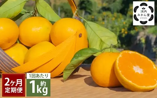  【 2ヶ月定期便 】 【 訳アリ 】 「 河内みかん堂 」 のみかん 約1kg + 傷み補償付き 約5玉 （ 家庭用 ）  みかん ミカン 河内みかん 柑橘系 柑橘類 柑橘 くだもの 果物 フルーツ 果実 果汁 果肉 国産 熊本県産 旬 【 2026年11月上旬発送開始 】