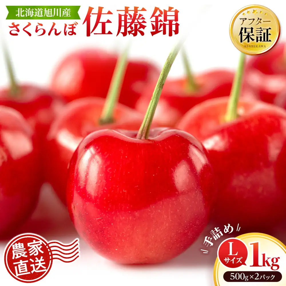 【先行予約】戸田果樹園 佐藤錦 Lサイズ1kg(500g×2パック) 手詰め（2026年7月上旬より発送開始）さくらんぼ _05950