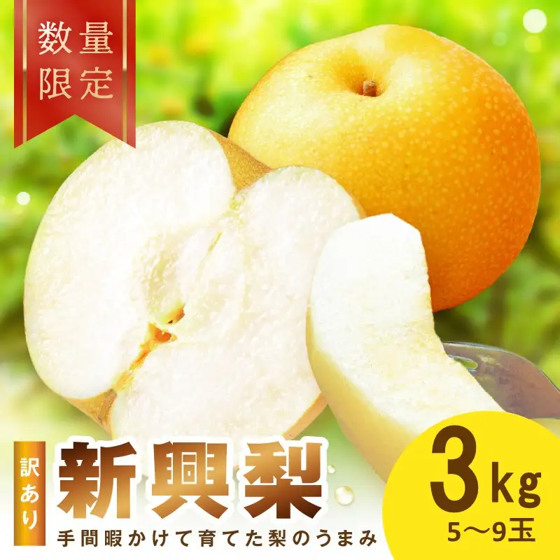 【先行予約／数量限定100】訳あり 新興梨　3kg（2026年10月中旬～発送）　ふるさと納税 訳あり フルーツ くだもの 国産 梨 新興梨 わけあり 訳有り ワケアリ 先行予約 ふるさと納税 梨