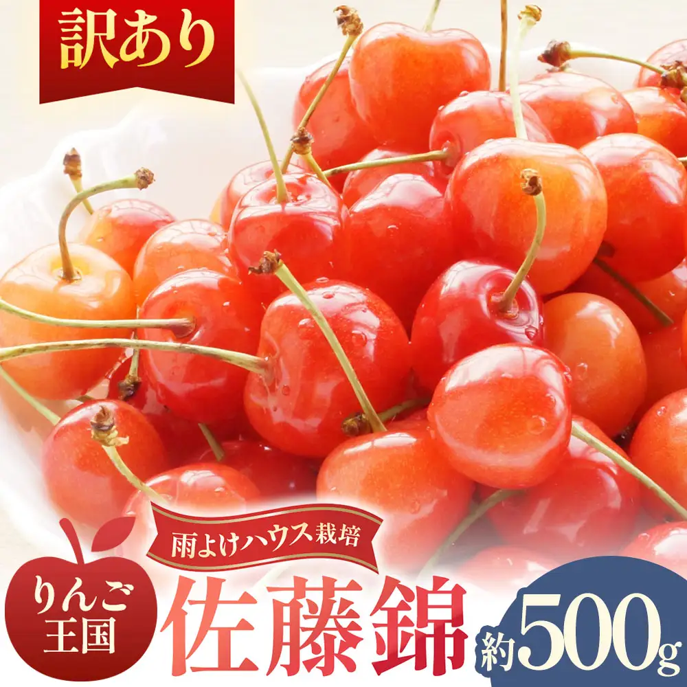 【訳あり】さくらんぼ【佐藤錦】約500g（M～Lサイズ）2026年6月中旬～