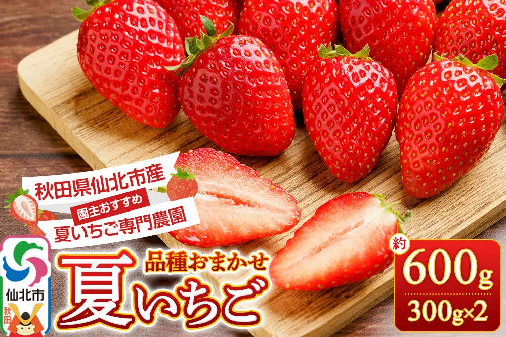 《近畿以北限定》 夏イチゴ専門農園の園主おすすめ！ 仙北市産 夏いちご 約600g（約300g×2パック）