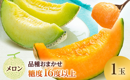 メロン 先行 予約 青森 減農薬栽培メロン 1玉 糖度16度以上保証 減農薬 青肉 赤肉 青肉メロン 赤肉メロン フルーツ 果物 旬のフルーツ 旬の果物 旬 夏 レビュー 高評価 先行予約 2026 2026年 青森県