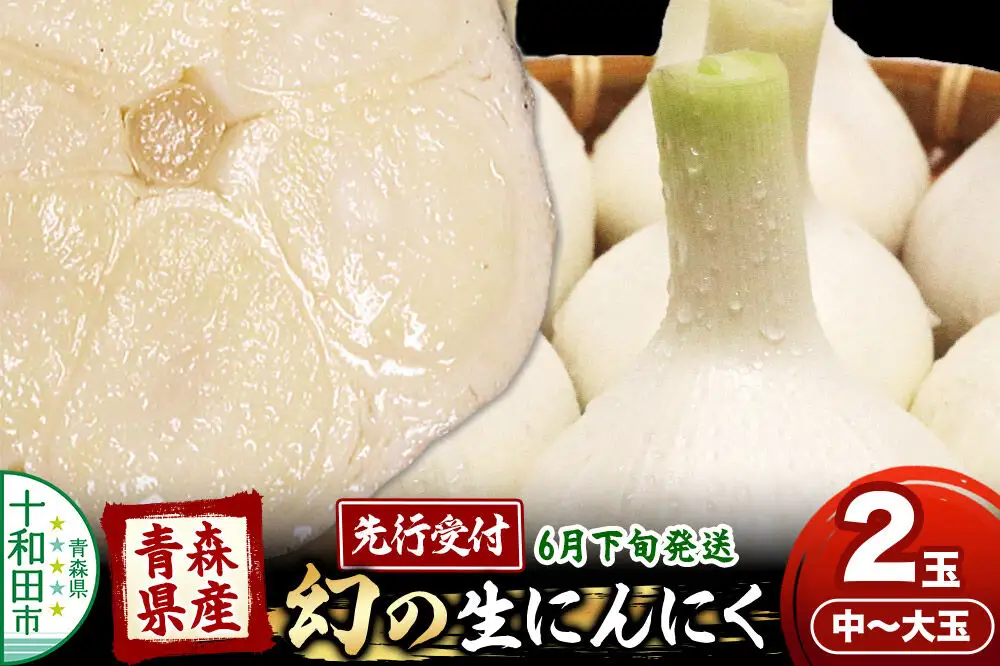 先行受付 青森県産にんにく 幻の生にんにく 2玉（中～大玉）【6月下旬発送】