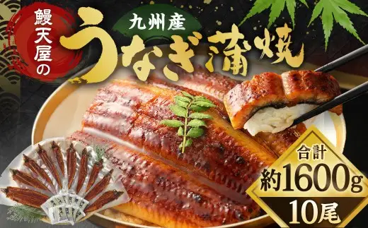 【土用の丑の日にお届け】鰻天屋の九州産うなぎ 蒲焼 10尾 セット (1尾あたり160～189g)
