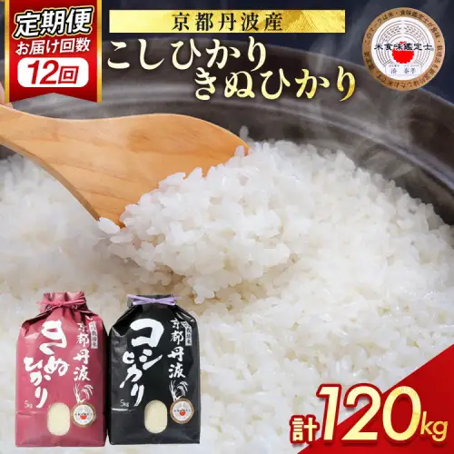 【12回定期便】コシヒカリ・きぬひかり 10kg 定期便 精米 白米