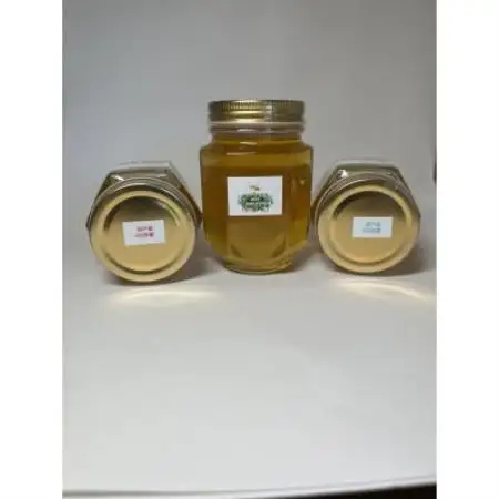 純粋坂戸はちみつ750g(250g×3個)【1743314】