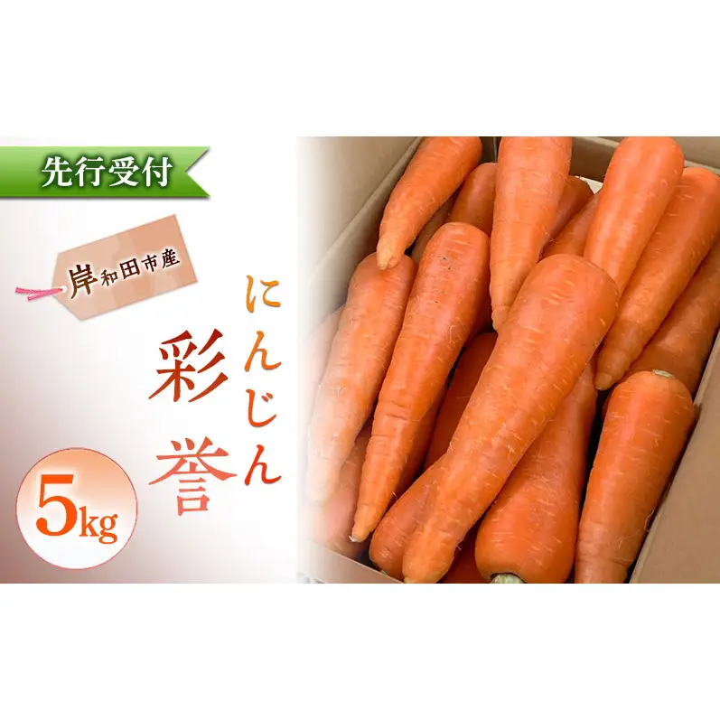 にんじん 5kg 彩誉 先行予約 人参 ニンジン 岸和田市産 ブランド野菜 【数量限定】高糖度 甘い 野菜ジュース スムージー キャロット 旬 野菜 産地直送 常備菜 料理 大阪府 岸和田市
