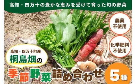 桐島畑の季節野菜詰め合わせ（5種類）【栽培期間中、農薬・化学肥料不使用】 やさい 野菜 国産野菜 野菜セット 野菜詰め合わせ 季節 新鮮フレッシュ 旬 無農薬 産地直送／Fkh-A07