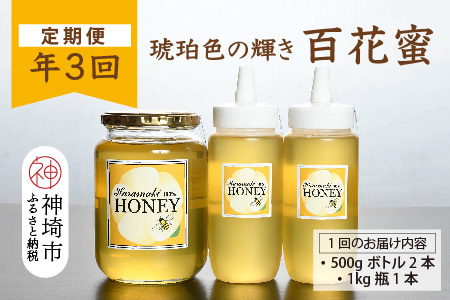 【定期便3回】神埼産 天然はちみつ(計6kg) 定期コースH(H049133)