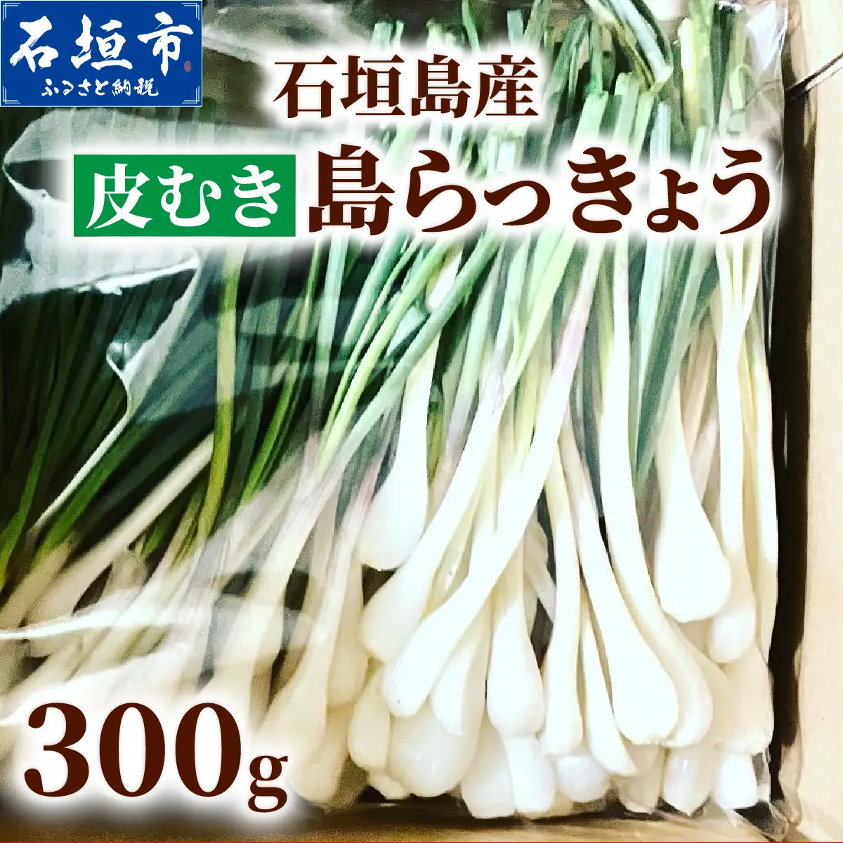 石垣島産 皮むき島らっきょう(下処理済み) 300g