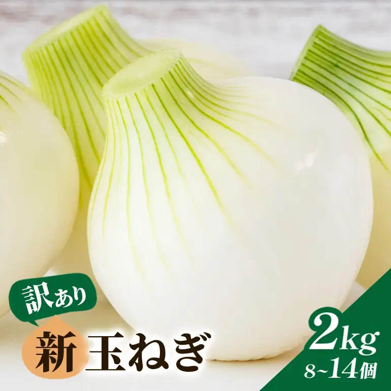 【訳あり】新玉ねぎ 2kg 8個～14個（1kg×2袋） B03-010