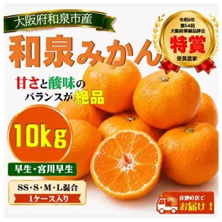 先行予約　大阪府和泉市産 宮川早生 和泉みかん 1ケース10Kg 11月中頃より発送【1606250】