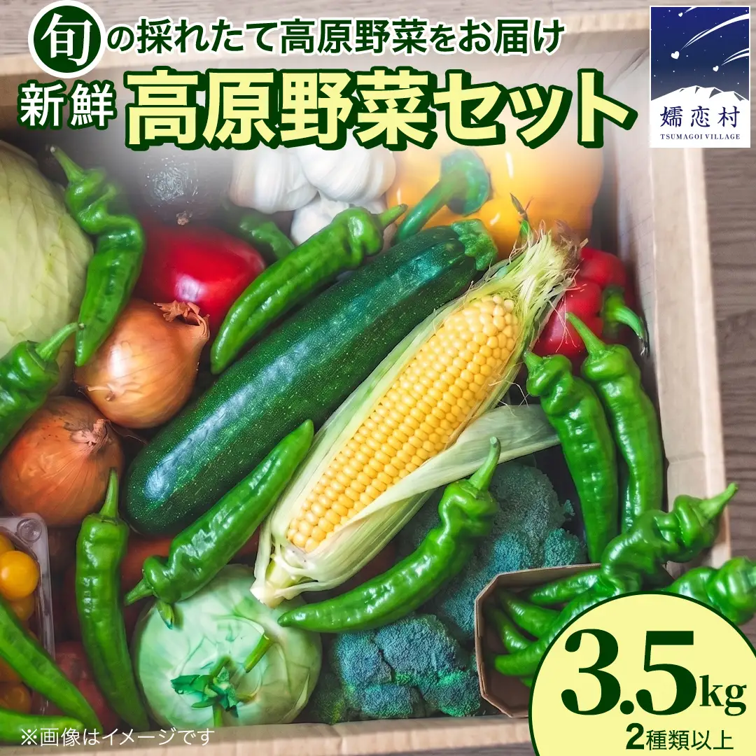 【7月中旬発送開始】旬の採れたて 新鮮 高原野菜 セット 3.5kg 2種以上 [BT001tu]