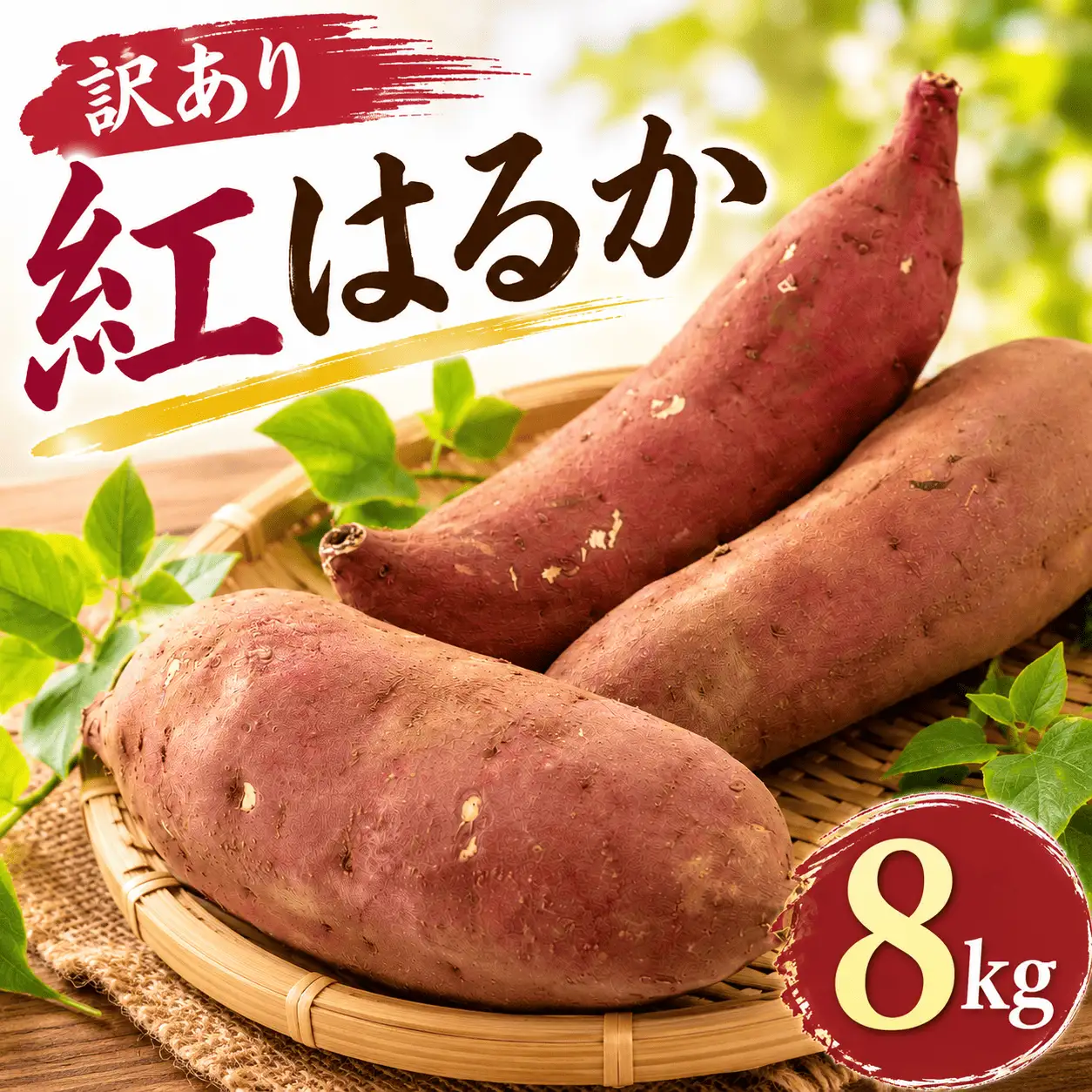 訳あり さつまいも 紅はるか 約8kg さつまいも
