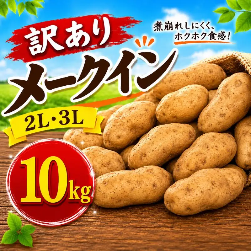 じゃがいも 訳あり 10kg mss012 じゃがいも