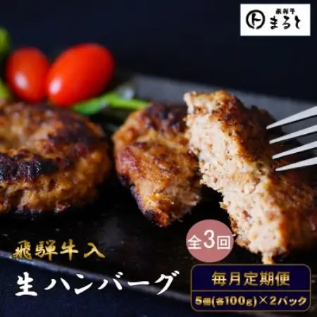 【毎月定期便】【3か月定期便】飛騨牛入り特製生ハンバーグ　100g×10個全3回【配送不可地域：離島】【4087879】