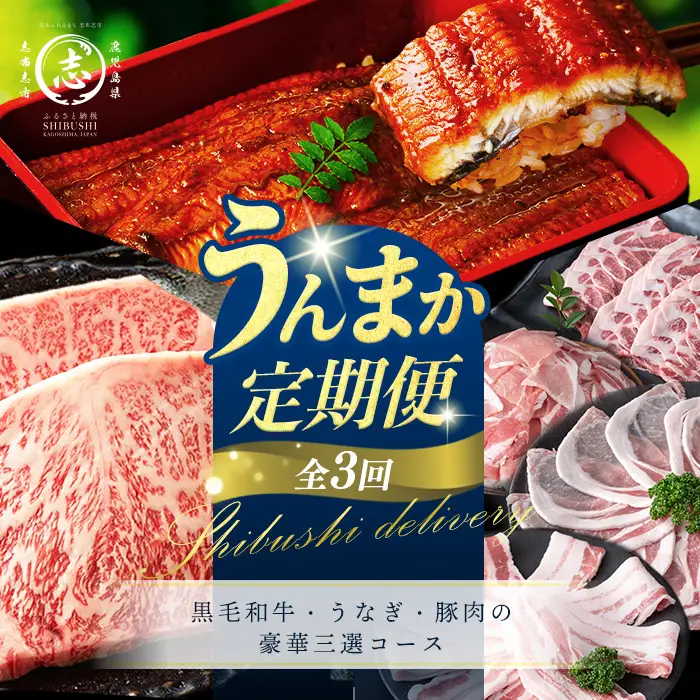 【定期便全3回】黒毛和牛・うなぎ・豚肉の豪華三選コース 志布志うんまか定期便 国産 牛肉 ステーキ 鰻 うな重 ひつまぶし ロース バラ 切り落とし バラエティ セット t0050-022