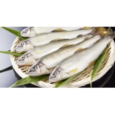 冷凍子持鮎　約2kg【約1kg(10～13尾)×2P】【配送不可地域：離島】【1746018】