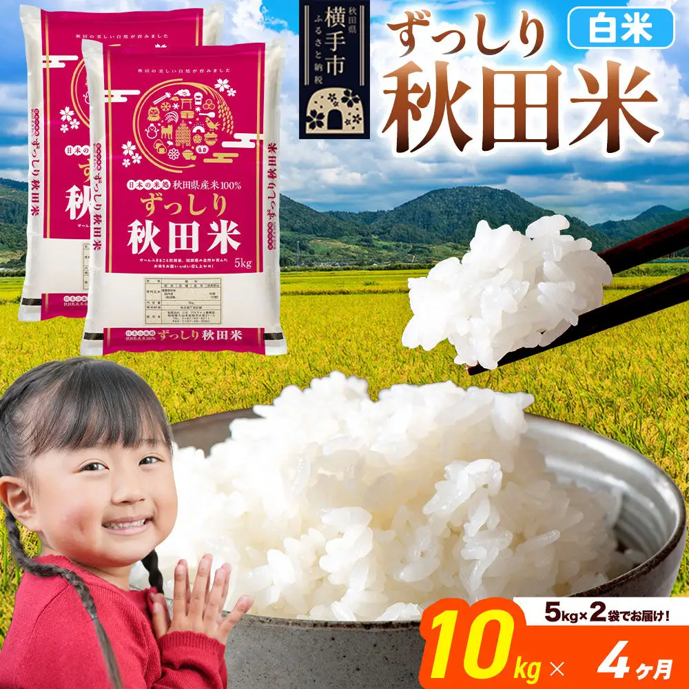 米《定期便4ヶ月》秋田県 横手市産 ブレンド米 令和7年産【白米】10kg