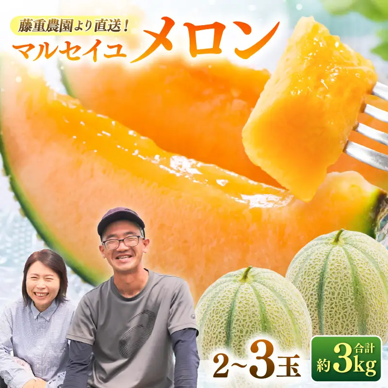 【先行予約】藤重農園自慢のマルセイユメロン 2～3玉（合計約3kg）※2027年6月中旬以降順次発送 [aw083-a005]