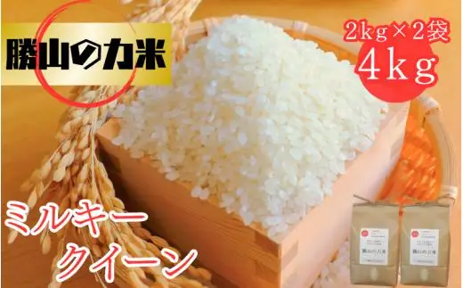 勝山の力米 ミルキークィーン 無洗米 2kg×2袋 ｜ 白米 米 お米 こめ コメ ライス ご飯 ごはん 贈り物 国産 仕送り お取り寄せ 産地直送 農家直送 数量限定 人気 おすすめ 【mwgk002-01】