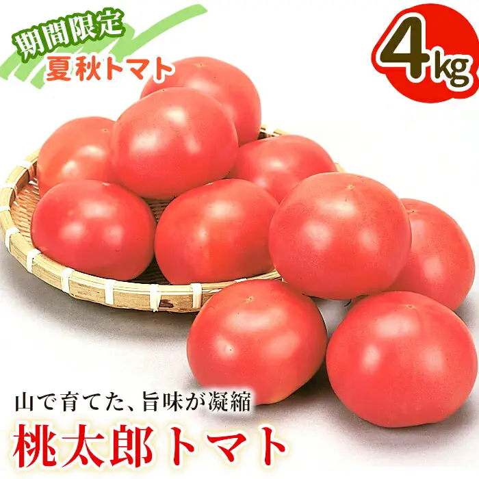 7月下旬発送！ 桃太郎トマト 4kg A等級 Lサイズ 桃太郎 トマト 美濃白川 夏秋トマト
