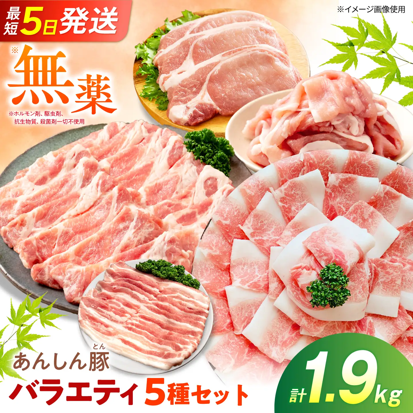 豚肉 バラエティセット 5種 計1.9kg 藤井ファーム[AWAF106]豚肉セット
