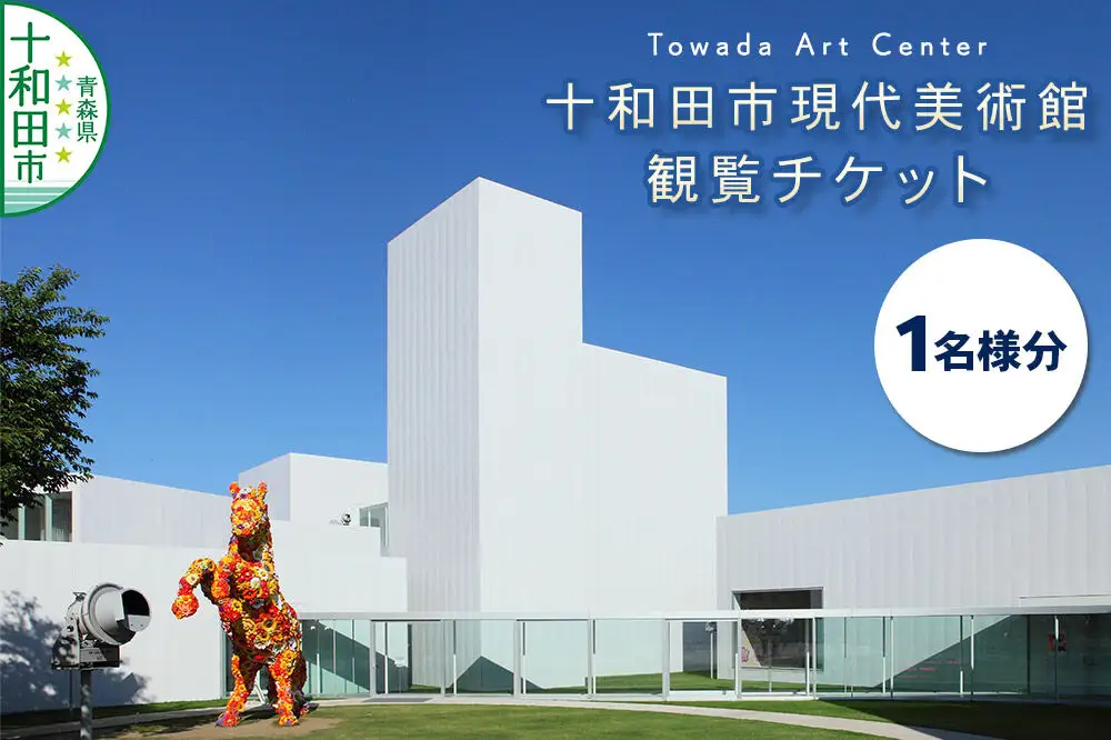 十和田市現代美術館観覧チケット（1名様分）青森県十和田市 ＜レターパックプラス＞