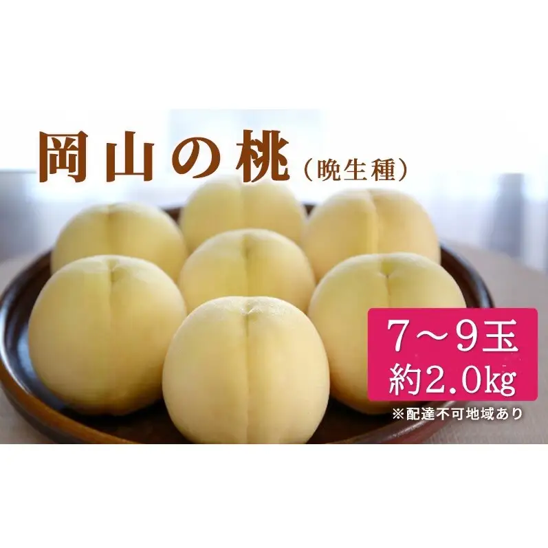 桃 2026年 先行予約 特選 岡山の白桃 7～9玉 約2kg 晩生種 もも モモ 岡山県産 国産 フルーツ 果物 ギフト いろは堂