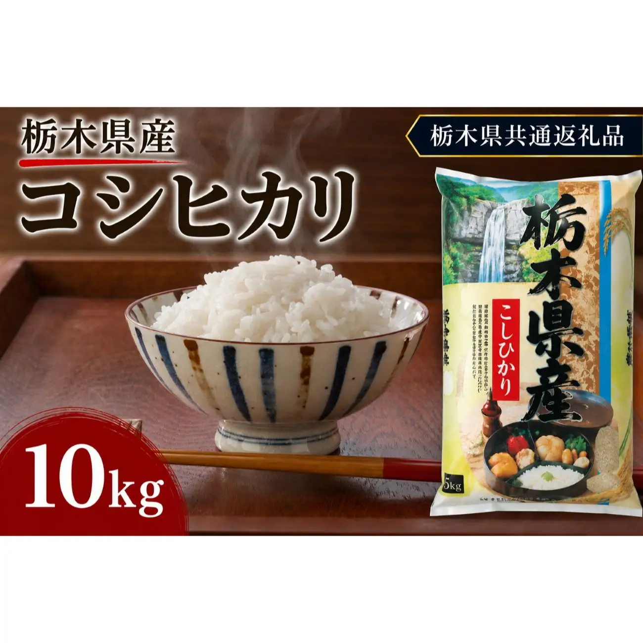 栃木県産 お米 白米 こしひかり 10kg | 栃木県 矢板市　栃木県共通返礼品