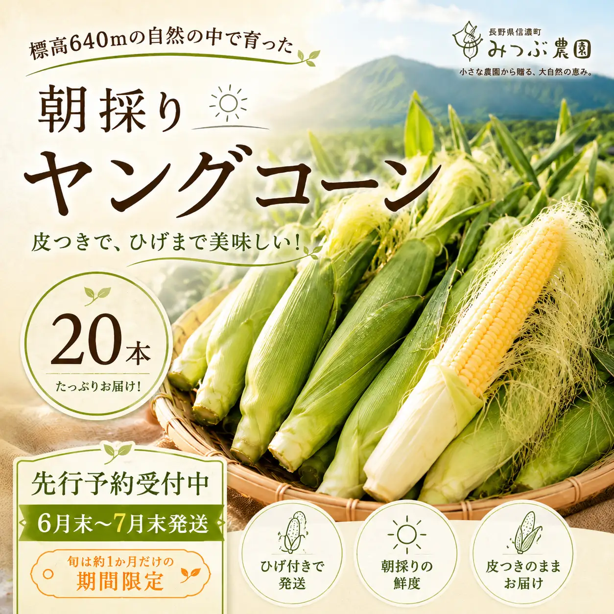 【期間限定】朝採れヤングコーン20本｜ひげまで甘い！自然循環農法で育んだ旬を直送