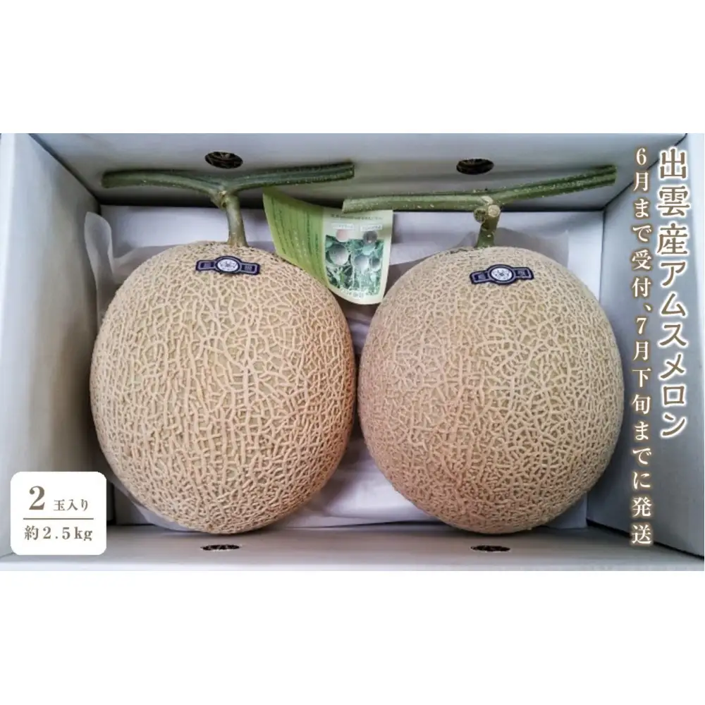 アムスメロン　2玉入り（約2.5kg）【6月下旬から7月下旬にお届け】