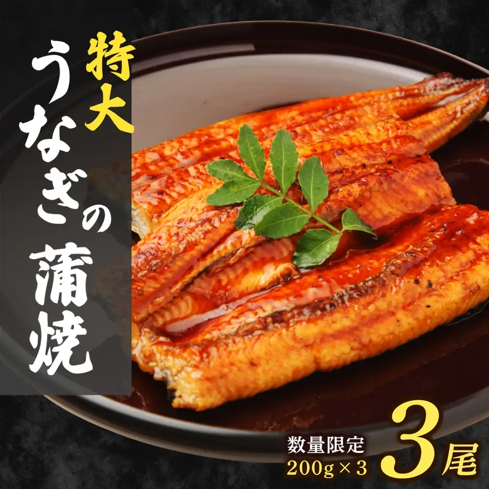 大容量600g！特大うなぎ蒲焼200g×3尾