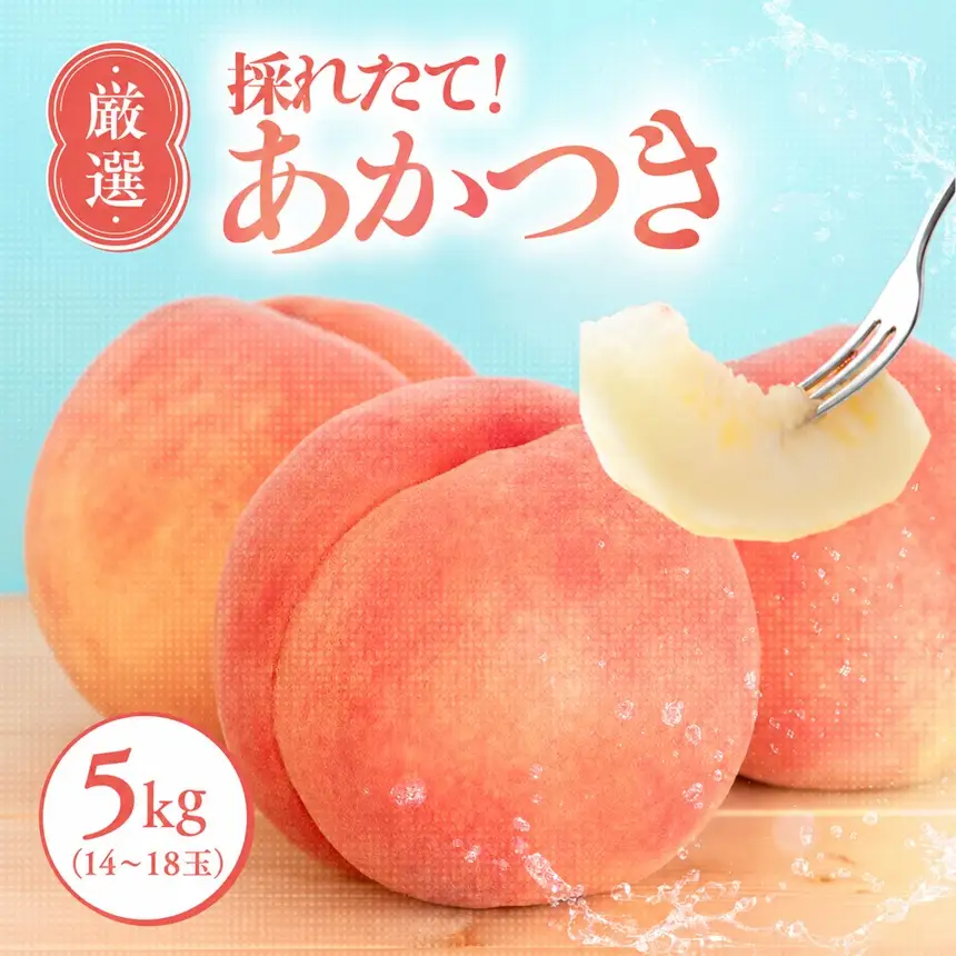 【7月下旬より順次発送】南信州産「桃」あかつき 約5kg 14~18玉 | 長野県 飯田市