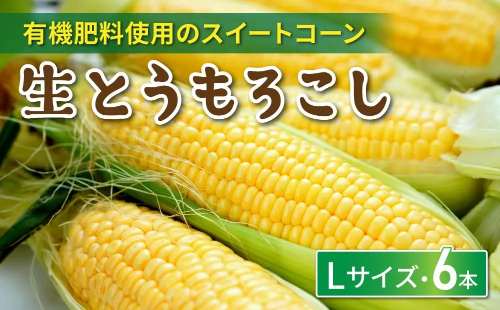 生とうもろこし Lサイズ 6本 有機肥料使用のスイートコーン！ 長野県東御市産 ※7月上旬から順次発送予定※発送日指定不可