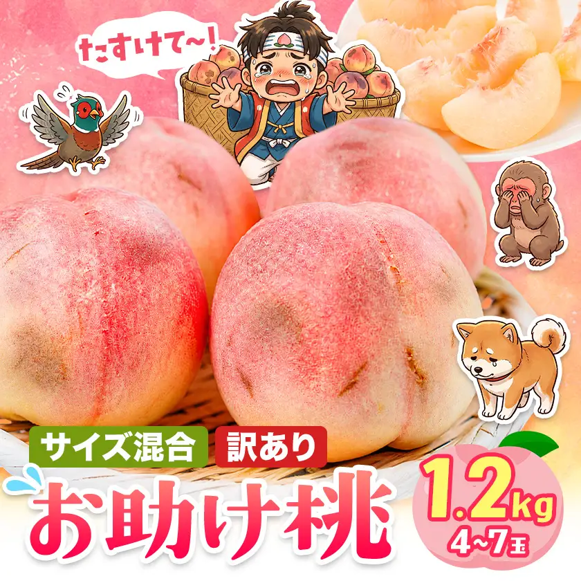 桃 訳あり お助け桃 約1.2kg