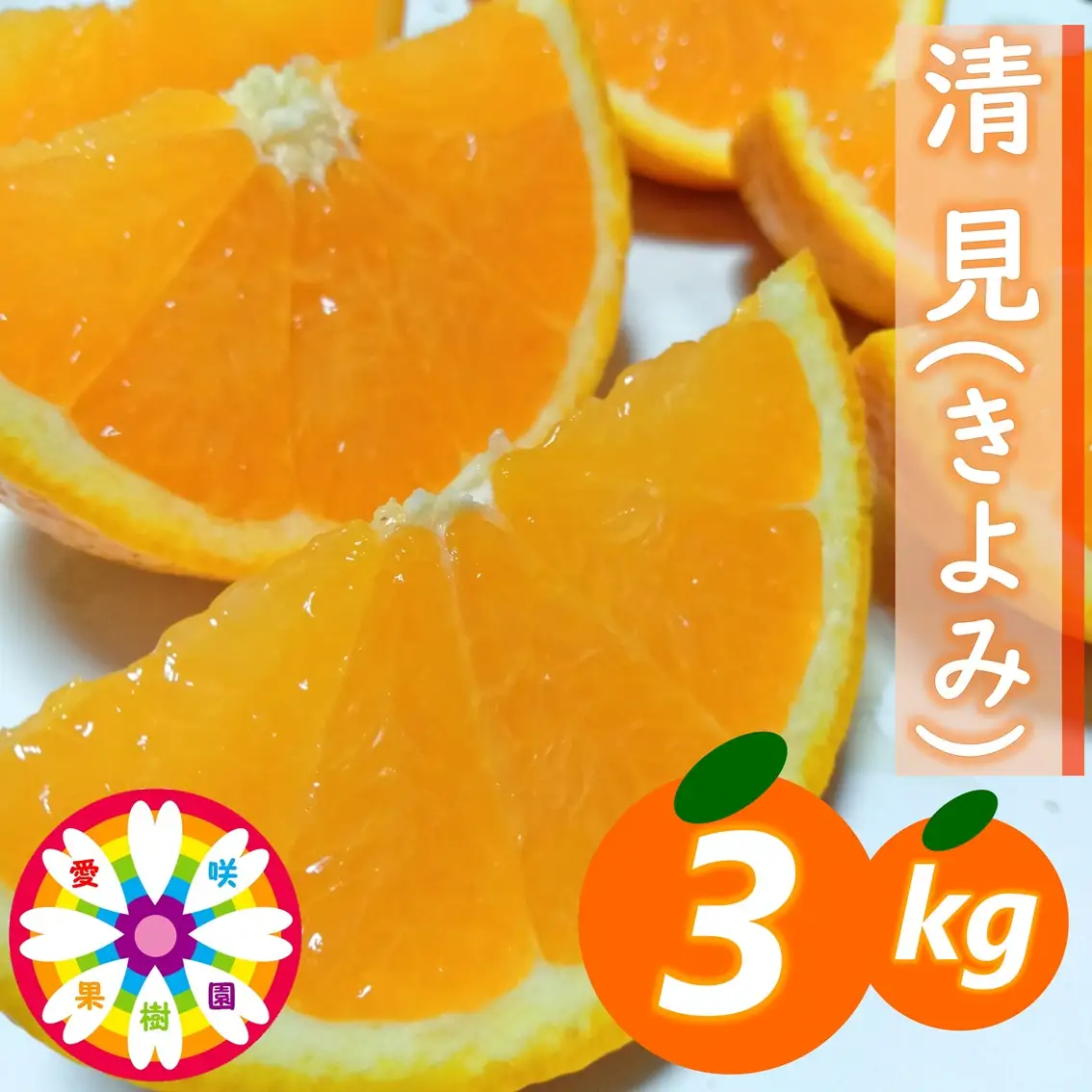 【先行受付】愛咲果樹園「清見」約3kg【71-58】YWTS060