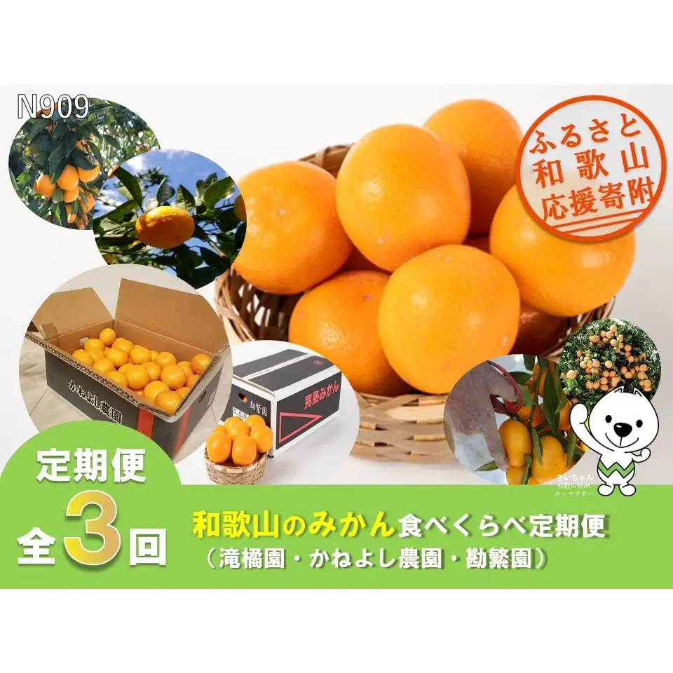 N909 【全3回定期便】和歌山のみかん食べ比べ（滝橘園・かねよし農園・勘繁園）