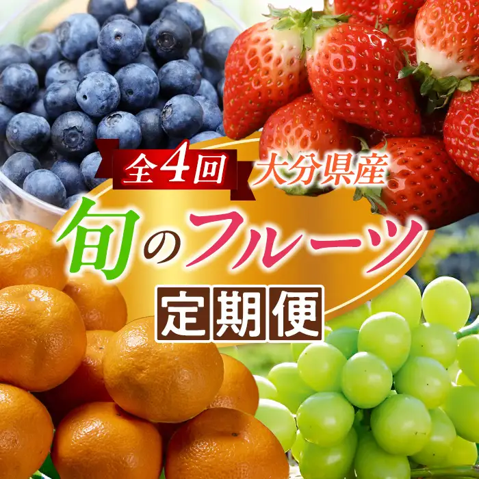 大分県産 旬のフルーツ定期便（全4回）果物 詰合せ 数量限定 ブルーベリー シャインマスカット みかん いちご_2717R