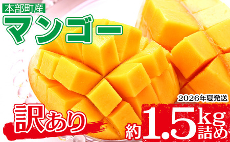 マンゴー【2026年夏発送】もとぶ町産マンゴー（訳あり）約1.5kg詰
