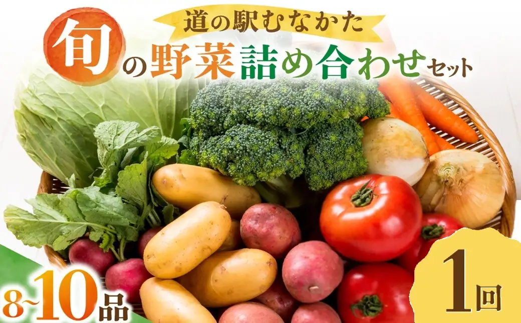 旬のお野菜詰合せセット【道の駅むなかた】_HA2050 野菜 新鮮 旬 サラダ 福岡県宗像市 宗像市 福岡 宗像