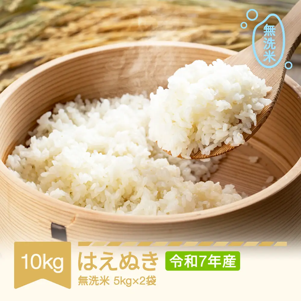令和7年産 はえぬき 無洗米 10kg tf-hamxa10
